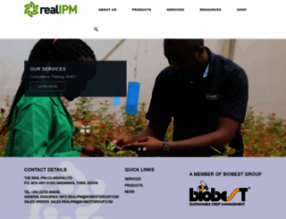 realipm.com screenshot