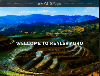 realsaagro.com screenshot