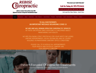 rebiszchiropractic.com screenshot