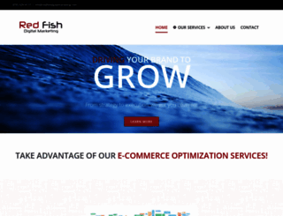 redfishdigitalmarketing.com screenshot