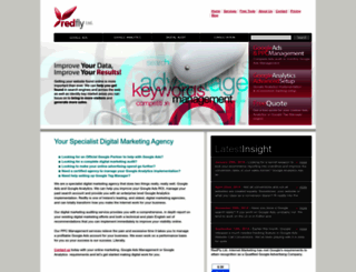 redflymarketing.com screenshot