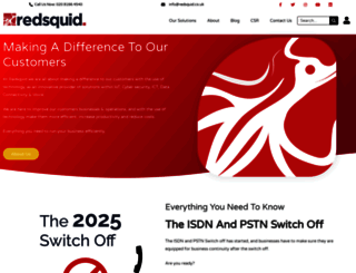 redsquid.co.uk screenshot