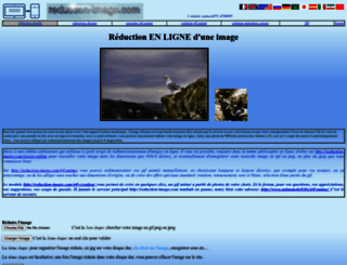 reduction-image.com screenshot