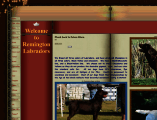 remingtonlabradors.com screenshot
