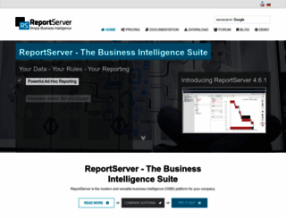 reportserver.net screenshot