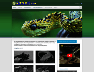 reptastic.com screenshot