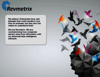 revmetrix.com screenshot