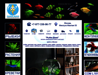 ribdom.ru screenshot