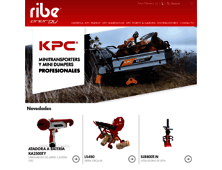 ribe-web.com screenshot