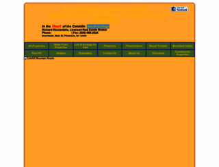 ricciardellarealty.com screenshot