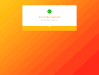 richking.com.cn screenshot