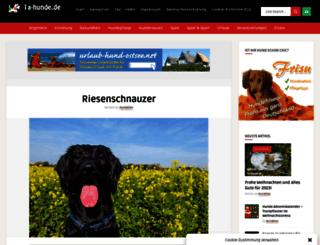 riesenschnauzer-in-not-ev.de screenshot