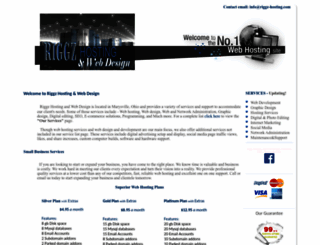 riggz-hosting.com screenshot