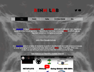 rinnlab.com screenshot
