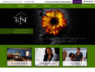 rise-ny.org screenshot