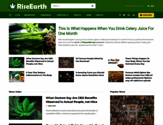 riseearth.org screenshot