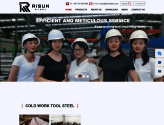 risunsteel.com screenshot