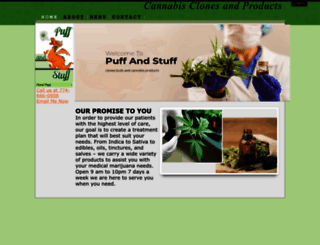 roanvi.com screenshot