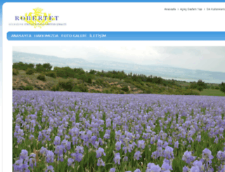 robertet.com.tr screenshot