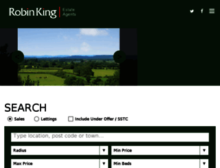 robin-king.com screenshot