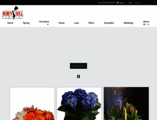 robinhillflorist.com screenshot