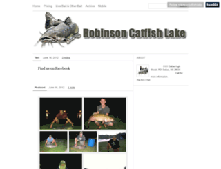 robinsoncatfishlake.com screenshot