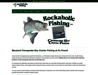 rockaholicfishing.com screenshot