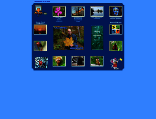 roederteam.de screenshot