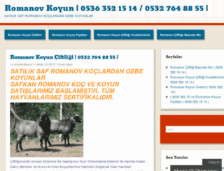 romanovkoyun.wordpress.com screenshot