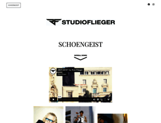 ron-flieger.com screenshot
