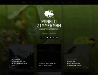 ronaldzimmerman.nl screenshot