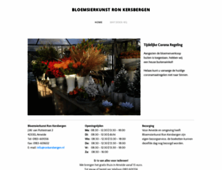 ronkersbergen.nl screenshot