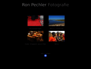 ronpechler.nl screenshot