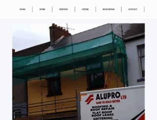 roof-repair-galway.onepagebusinesswebsites.com screenshot