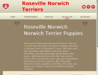 rosevillenorwich.com screenshot