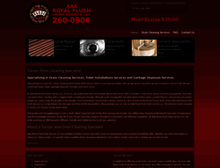 royalflushdrainservice.com screenshot