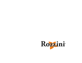 rozzini.com.tr screenshot