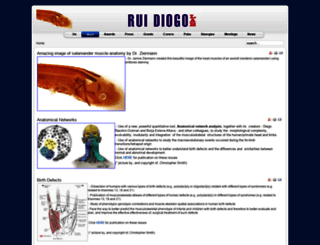 ruidiogolab.com screenshot