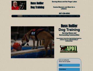 russhollierdogtraining.com screenshot