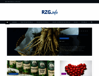 rzg.info.pl screenshot