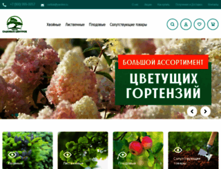 sad-vl.ru screenshot