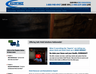 safeatticmoldremoval.com screenshot