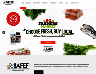 safef.org.sg screenshot