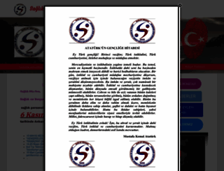 sagliksozsen.org.tr screenshot