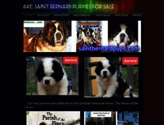 saintbernardpups.com screenshot