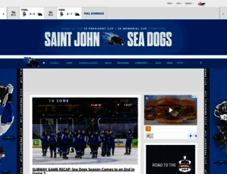 saintjohnseadogs.com screenshot