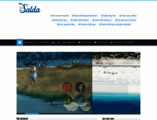 saldagolu.com screenshot