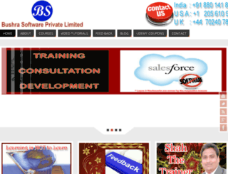 salesforce-online-training.com screenshot