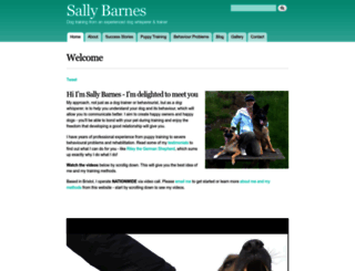sallybarnes.com screenshot