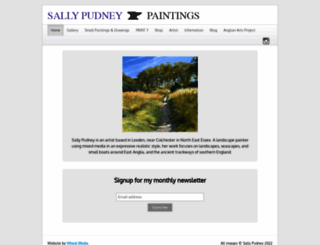 sallypudneyartist.co.uk screenshot